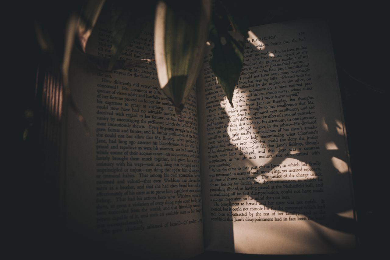 about-us-img From above of opened book placed near plant in shadow in sunlight in summer day